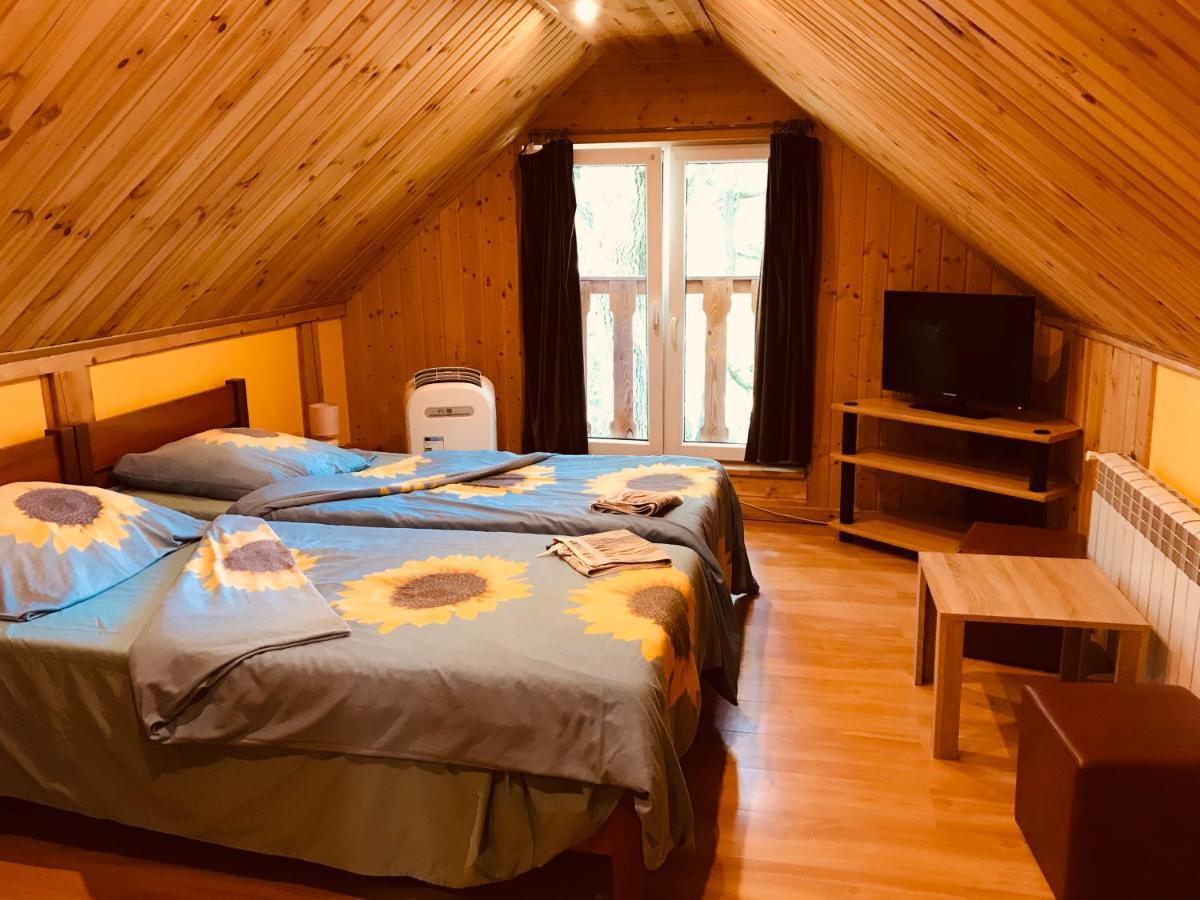 Pokoje Pod Debami Kazimierz Dolny Extérieur photo