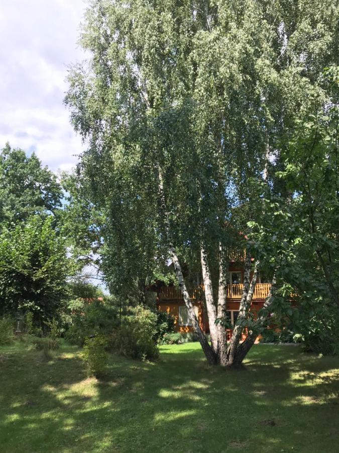 Pokoje Pod Debami Kazimierz Dolny Extérieur photo